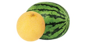 Watermelon/Muskmelon