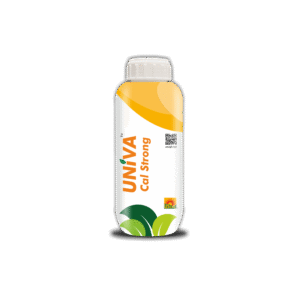 UNIVA Cal Strong