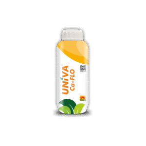 UNIVA Ca FLO