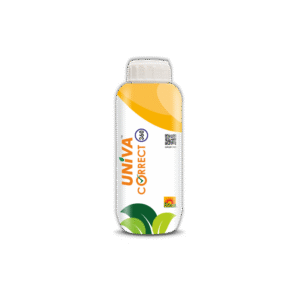 UNIVA Correct 360